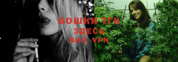 тгк Семилуки