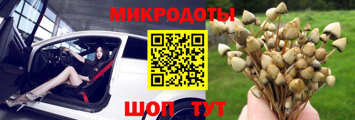 Галлюциногенные грибы мицелий Славянск-на-Кубани